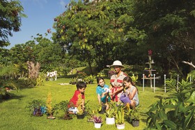 Now Garden Punta Cana