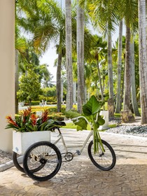 Paradisus Punta Cana