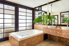 Paradisus Punta Cana