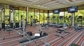 Paradisus Punta Cana