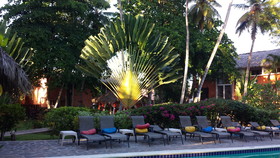 La Residencia Del Paseo