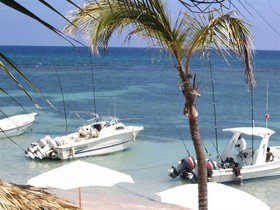 Plaza Real Resort