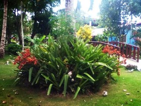 Plaza Real Resort