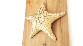 The Caribbean Gateway