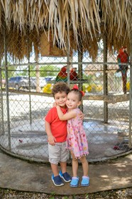 Hotel Caribbean Adventure
