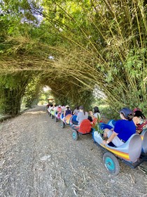 Hotel Caribbean Adventure