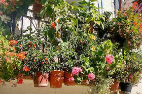 Apartamentos Rurales Rosendo - Apartamento Rurales R