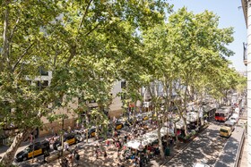 Gòtic by The 5ve Soul