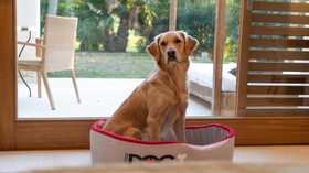 Can Lluc Boutique Country Hotel & Villas