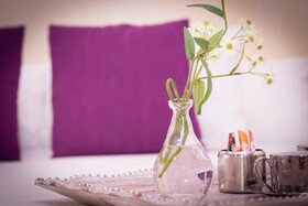 Hostal Palacio Madrid