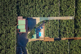 Hacienda La Dehesa