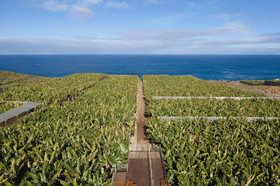 Hacienda La Dehesa