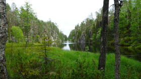 Taiga School
