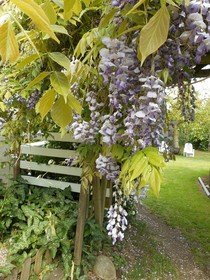 Chambres d'hôtes la Charmaie
