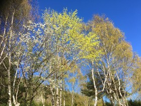 Domaine Les 2 Mondes