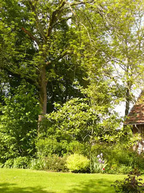 Au Bonheur Du Parc