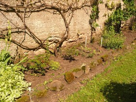 Au Bonheur Du Parc