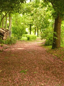 Au Bonheur Du Parc