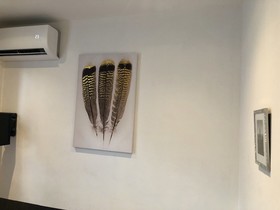 Studios Cenac Riviera