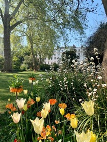 Eccleston Square London