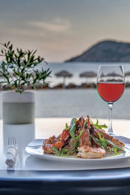 Elia Beach Hotel