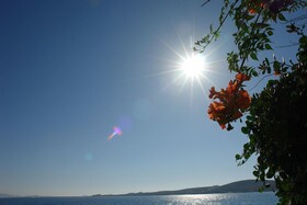 Petalides Apartments