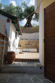 Olive Tree Apartments