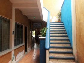 Flores de Peten