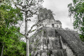 Jaguar Inn Tikal