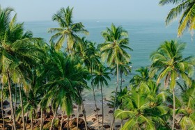 Agonda Shell Beach Resort