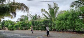 Patang Family Resort