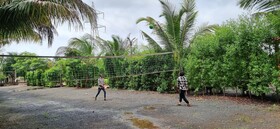 Patang Family Resort