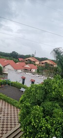 Patang Family Resort