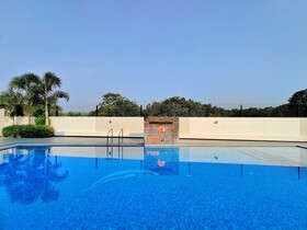 Lion Signature Family Resort
