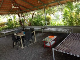 Lion Signature Family Resort