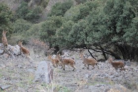 Barranco de la Salud