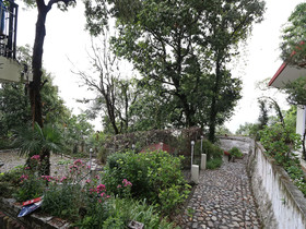 The Kings Kalindi Resort & Spa