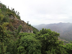 The Kings Kalindi Resort & Spa