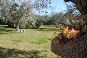 Giardino Giamperduto