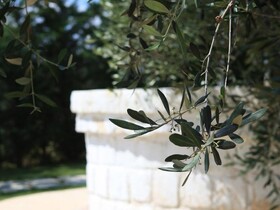 Giardino Giamperduto