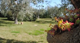 Giardino Giamperduto