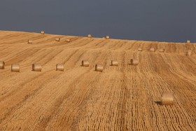 Tenuta Danesi