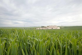 Tenuta Danesi