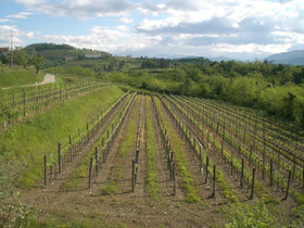 Agriturismo Giorgio Colutta