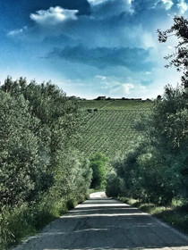 Osteria B&b Il Barcollo