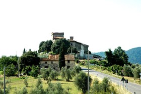 Volognano