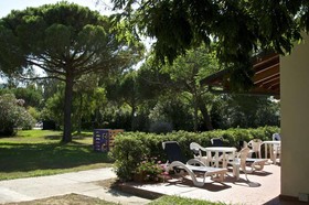 Ghiacci Vecchi