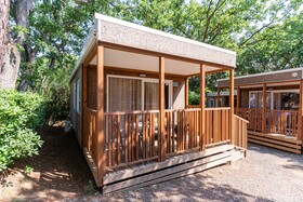 Stella del Mare Family Collection