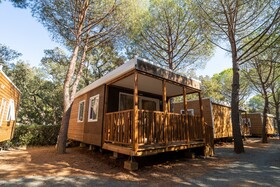 Stella del Mare Family Collection