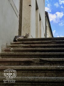 Borgo Buzzaccarini Rocca Di Castello